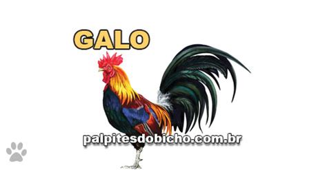 palpite do seu site